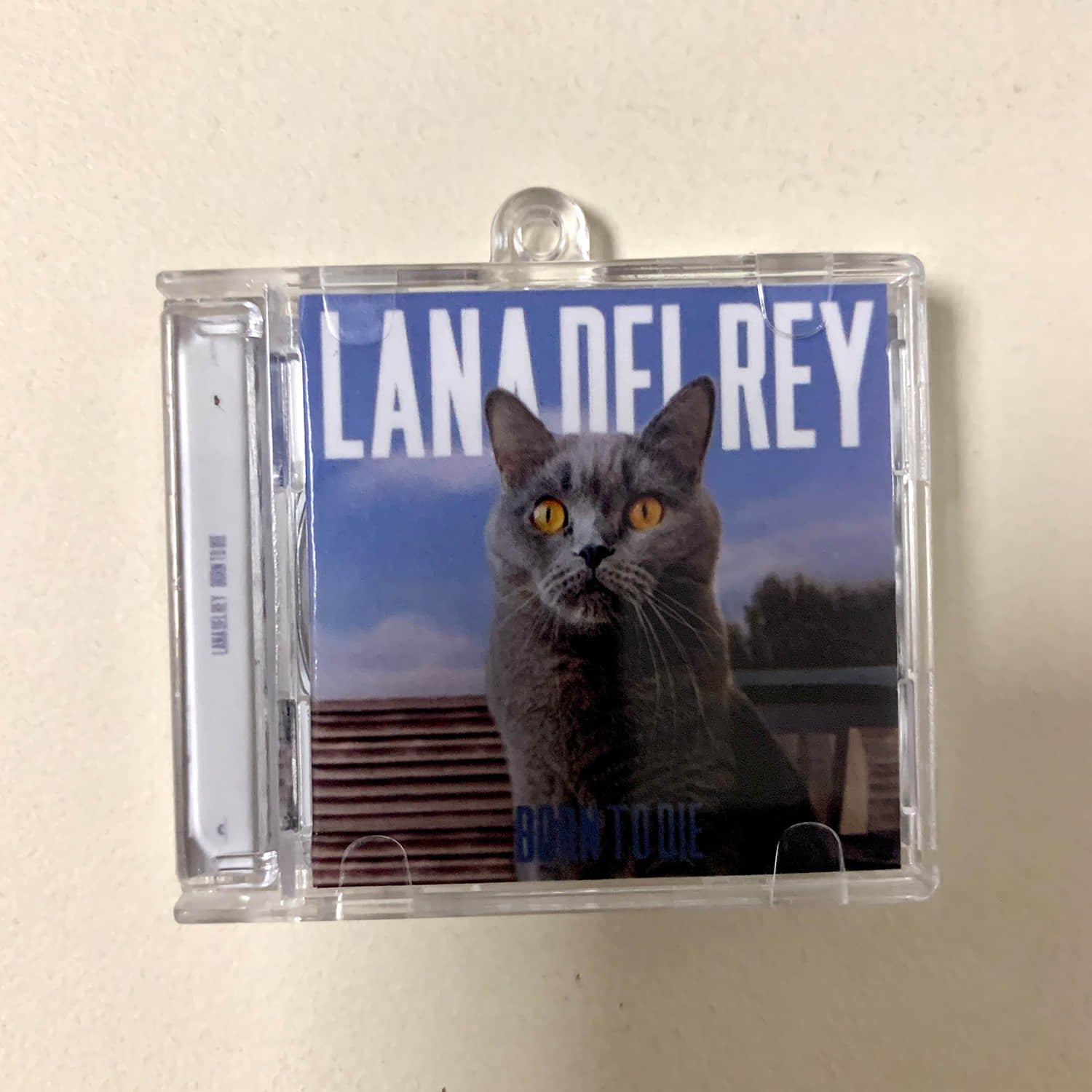 Cat Cover III Little CD Album Cover Keychains – Arctic Monkeys - nirvana in utero - Lana Del Rey