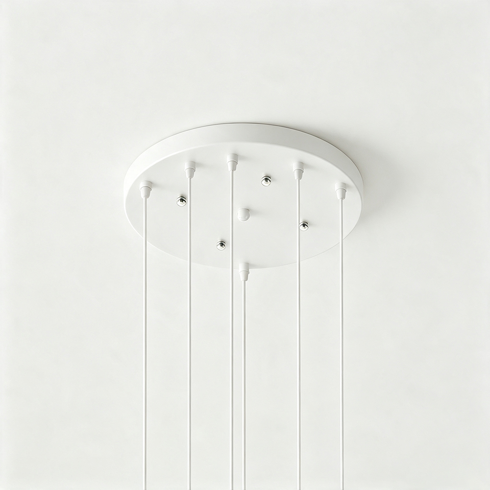 Hardwired Two-headed Three-headed Black Ceiling Plate White Lamp Base
