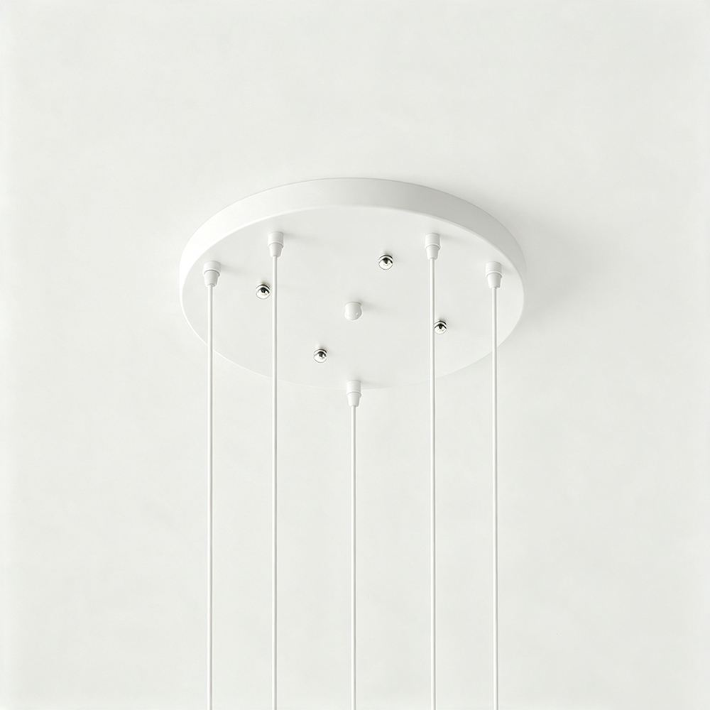 Hardwired Two-headed Three-headed Black Ceiling Plate White Lamp Base