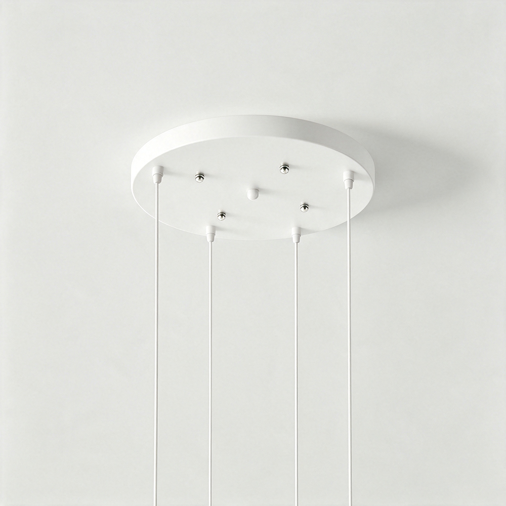 Hardwired Two-headed Three-headed Black Ceiling Plate White Lamp Base