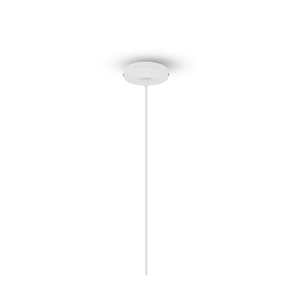 Hardwired Two-headed Three-headed Black Ceiling Plate White Lamp Base