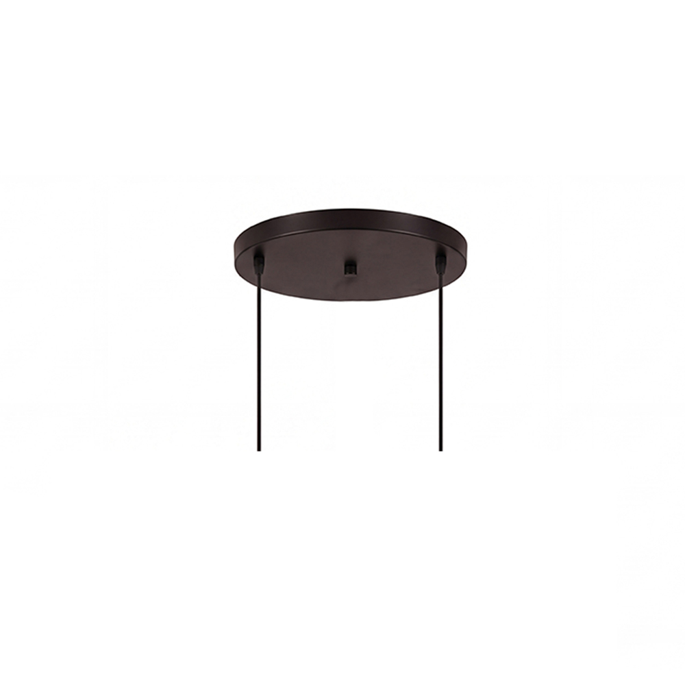 Hardwired Two-headed Three-headed Black Ceiling Plate White Lamp Base