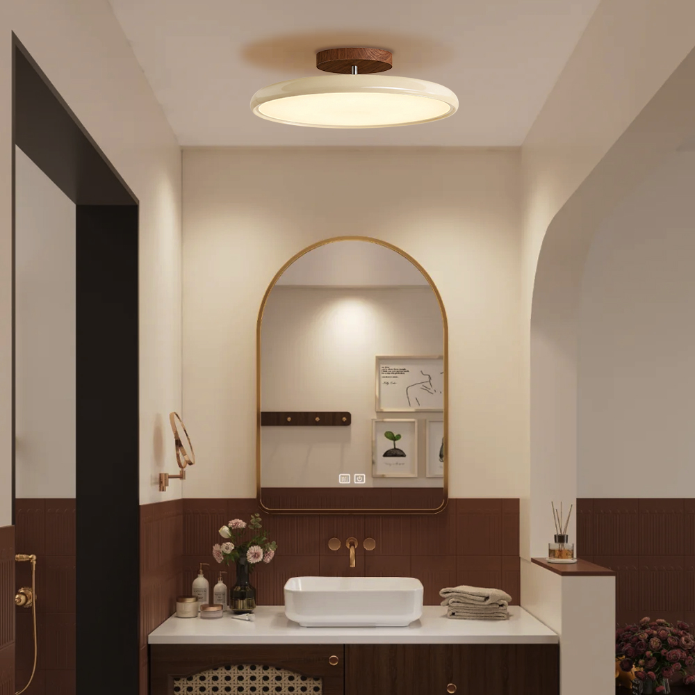 Ceiling Light