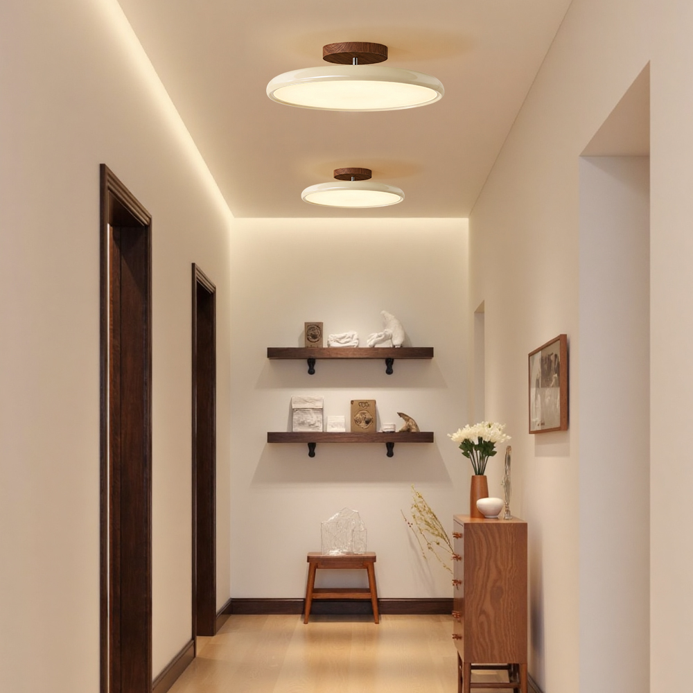 Ceiling Light
