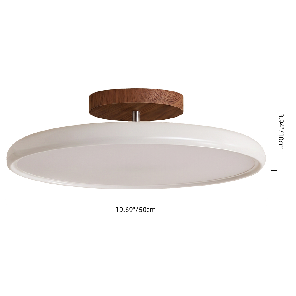Ceiling Light