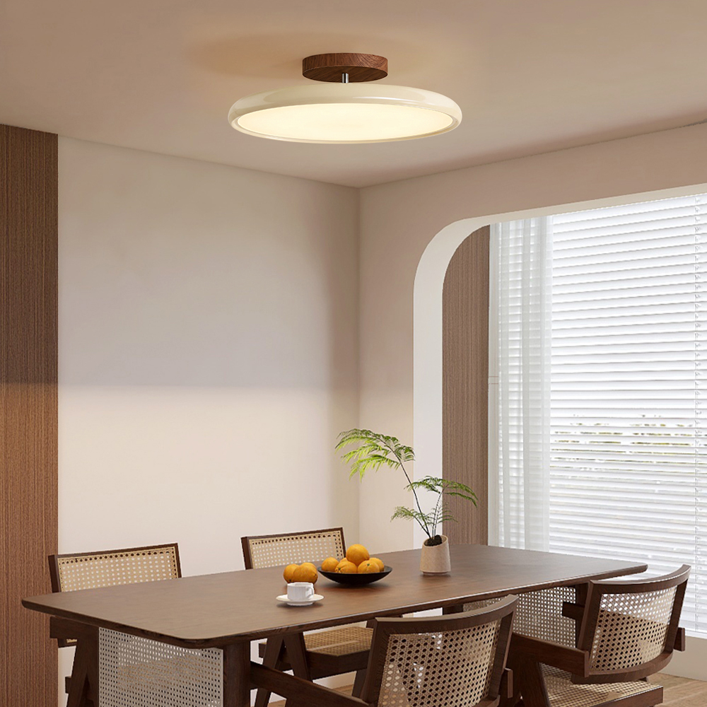 Ceiling Light