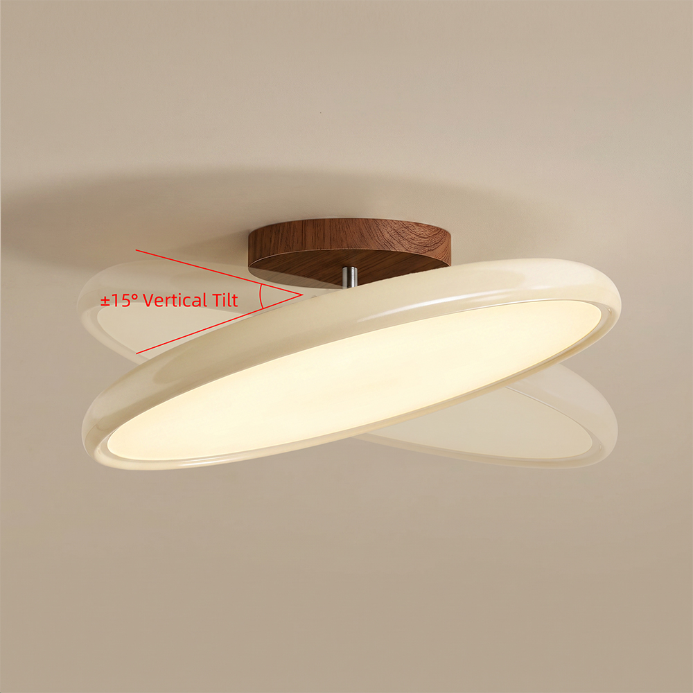 Ceiling Light