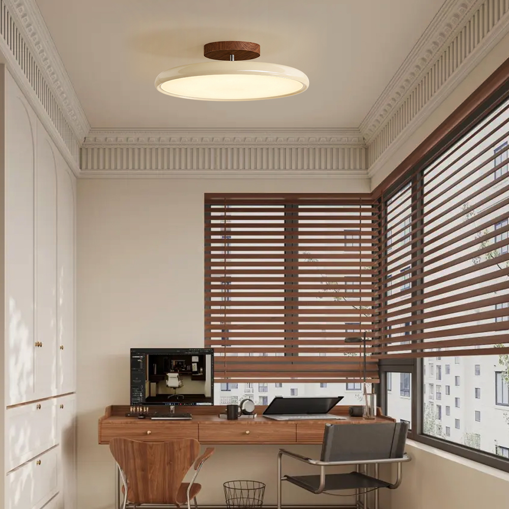 Ceiling Light
