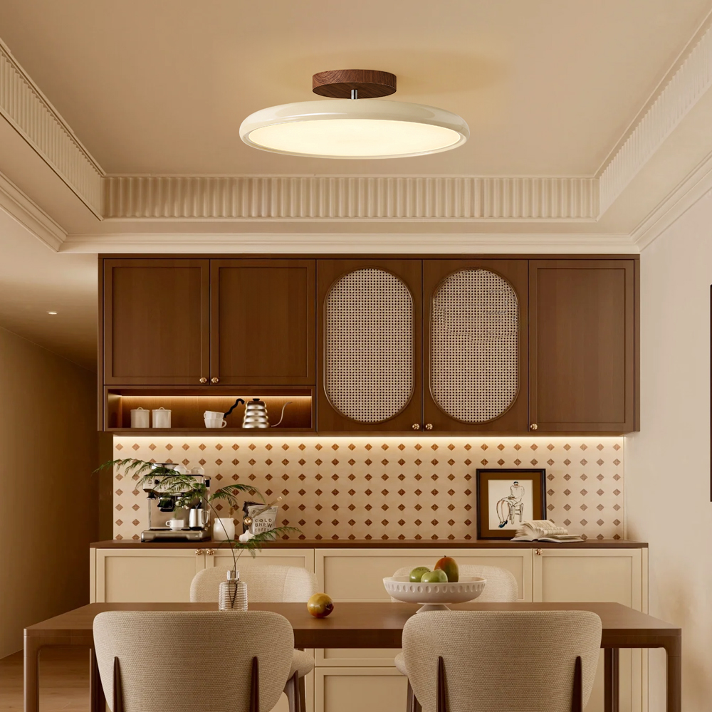 Ceiling Light