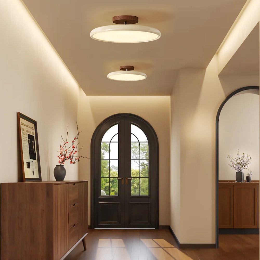 Ceiling Light