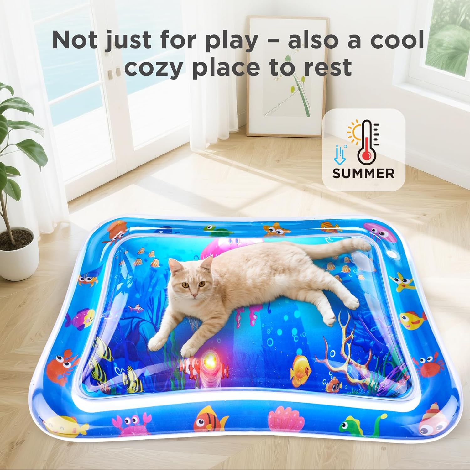 Multi-Color Lighted Cat Water Mat