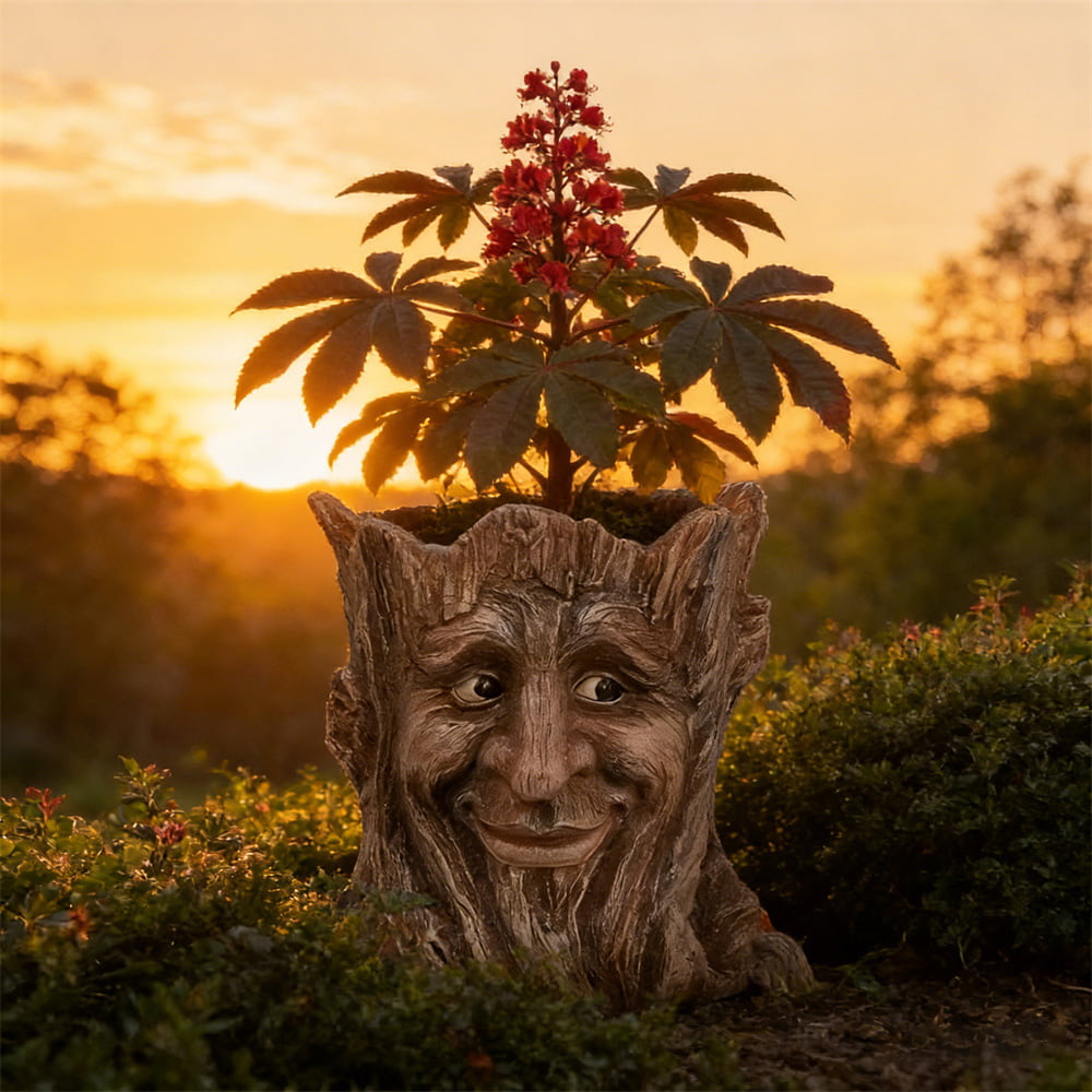 🌿Tree Spirit Face Planter