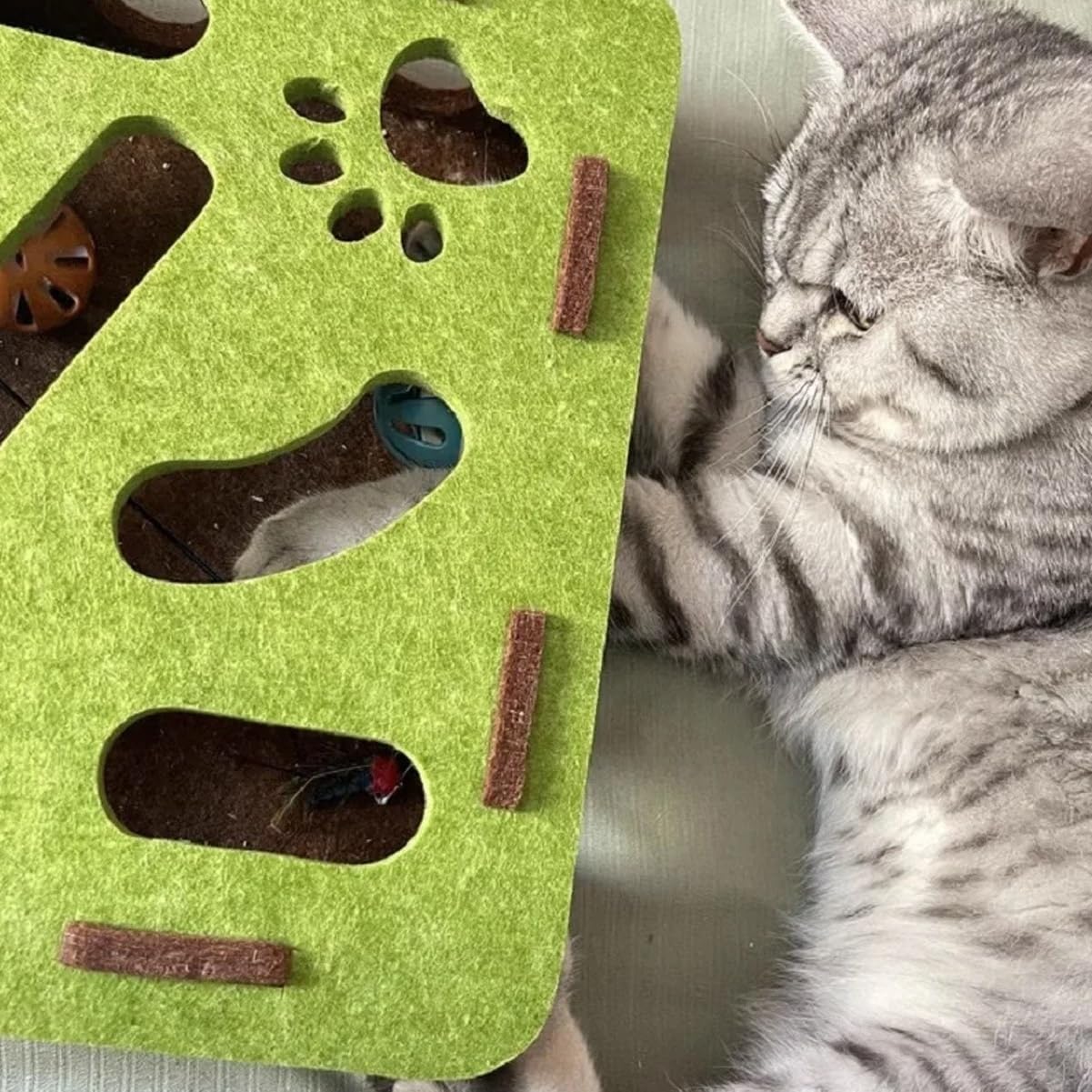 Interactive Cat Nail File Enrichment Box