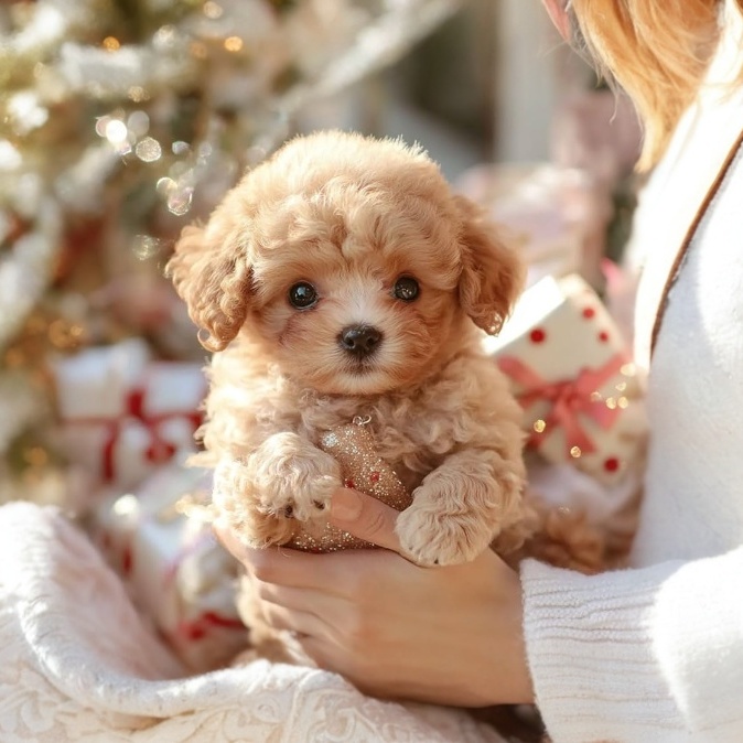 2025 New Arrival ZoomerPup🔥Realistic Puppy Toy