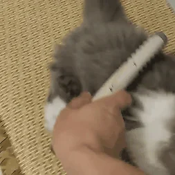 🔥Electric Pet Hair Knotting Trimmer Comb