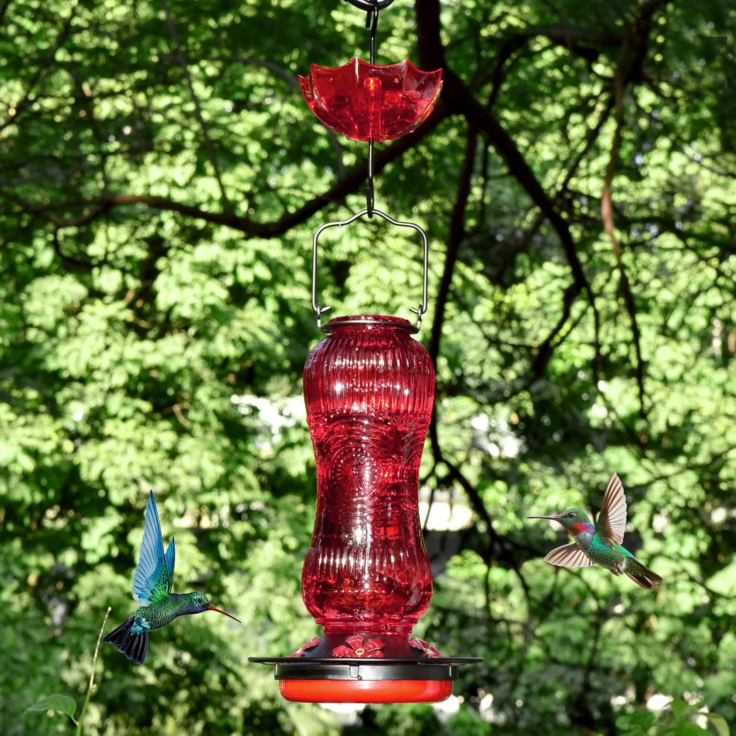 Vintage Style Glass Hummingbird Feeder