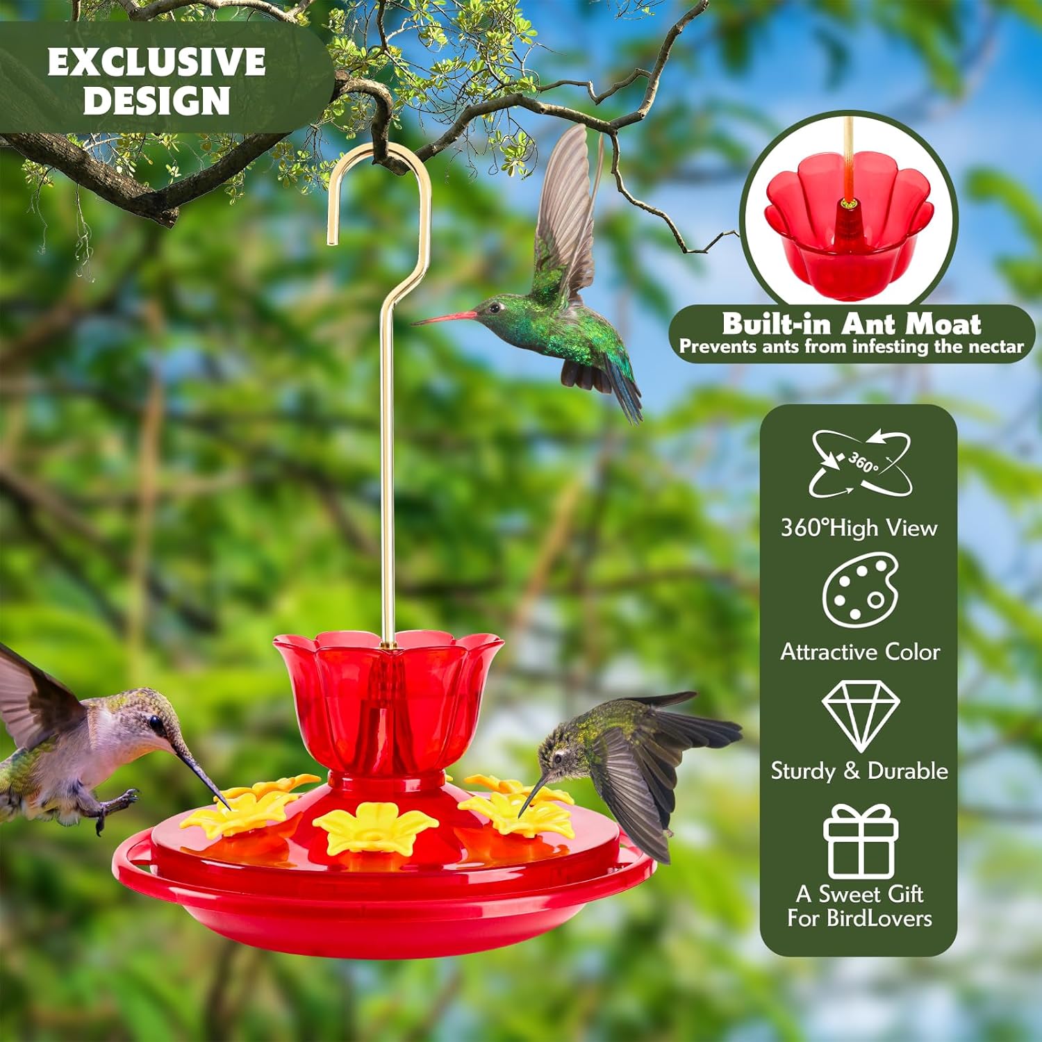 Hummingbird feeders