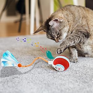 The 3rd Generation Agile Moving Cat Ball