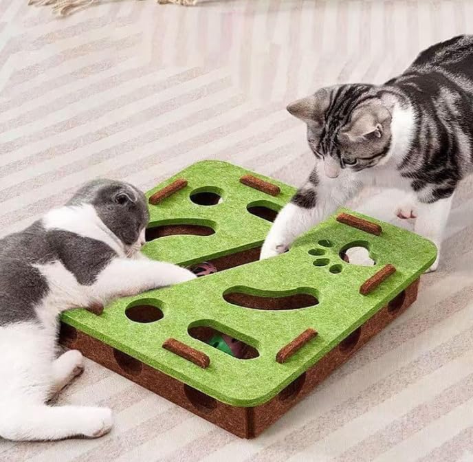 Interactive Cat Nail File Enrichment Box
