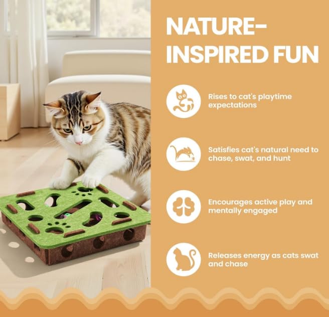Interactive Cat Nail File Enrichment Box