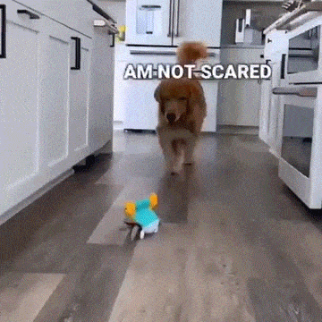 Crawling Crab - Interactive Toy for Pups