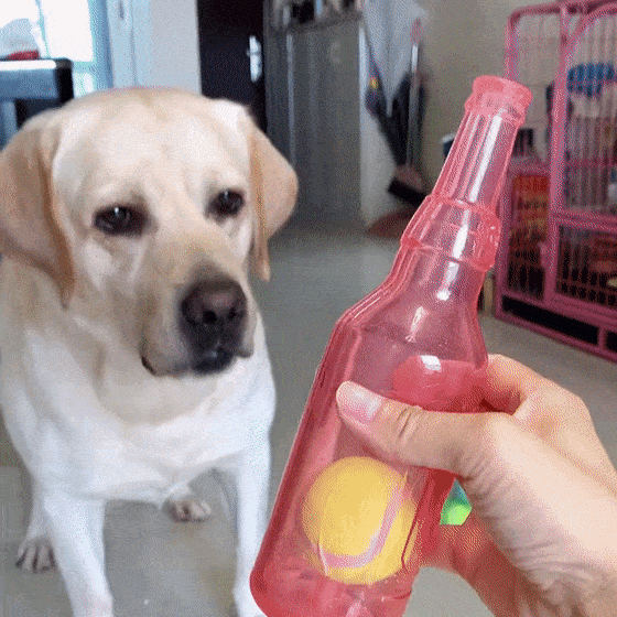 Bottle Chew Toys for Dogs