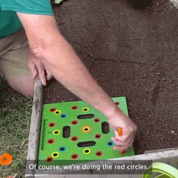 Seeding Square - Seed and Seedling Spacer Tool