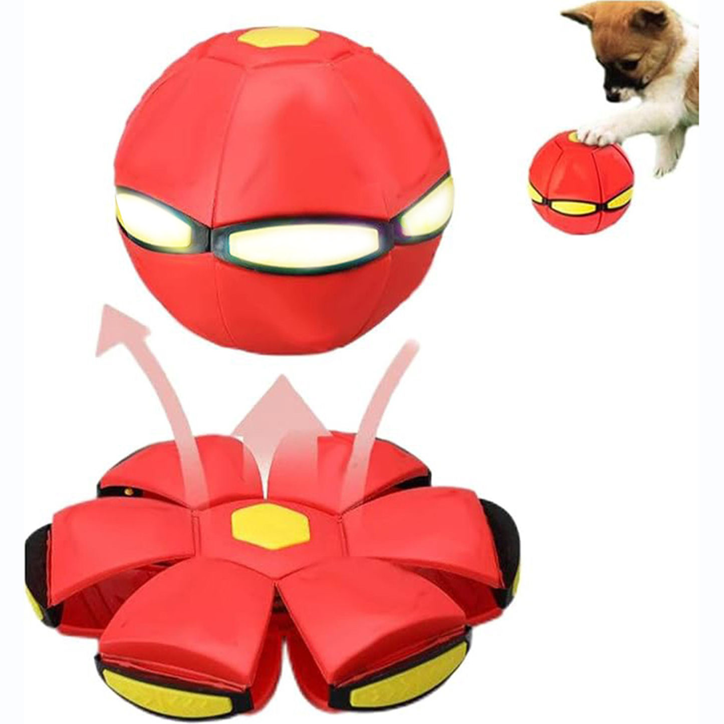 💥The Doggy Disc Ball💞