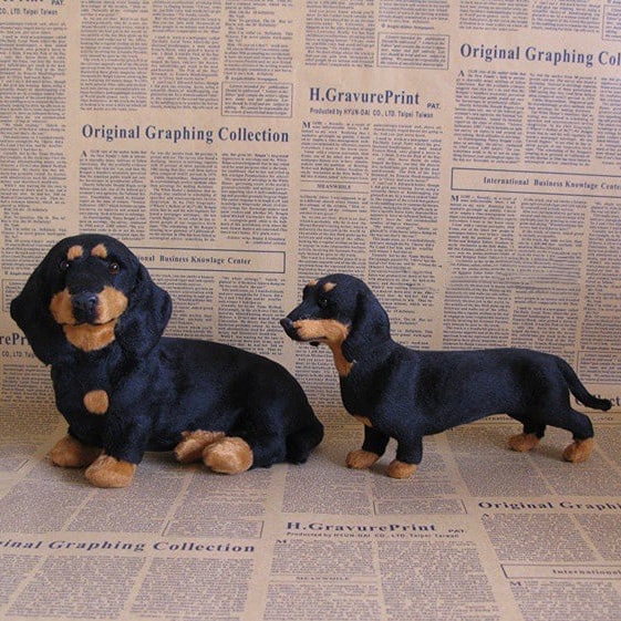 🐶 The Dachys – Emotional Healing on Demand