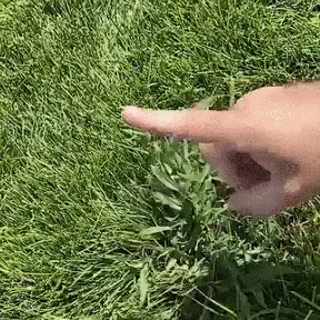 🌿Stand Up Heavy Duty Weed Puller Tool