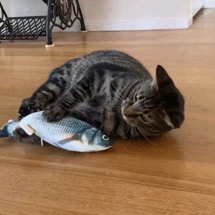 🐱🐟 Flopping Fish Cat Toy