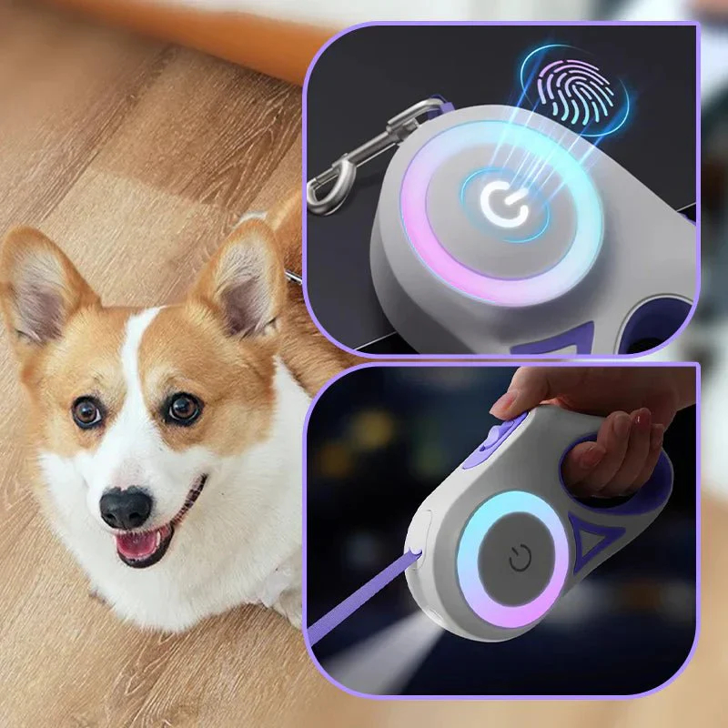 Lighted Dog Leash👉 Perfect For Owners Who Often Walk In The Evenings