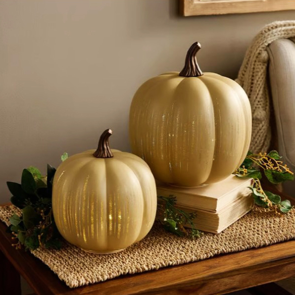 🎃Twinkle Light Pumpkins