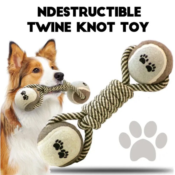 Immortal Toy For Aggressive Chewers