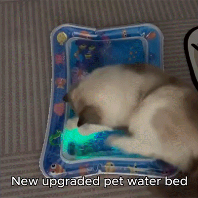 Multi-Color Lighted Cat Water Mat