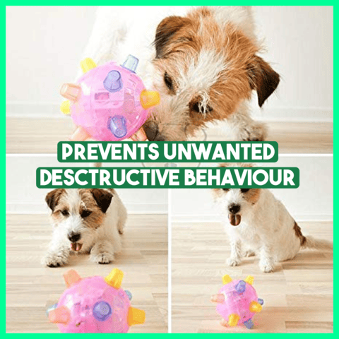 💥Hot Sale💥Jumping Activation Ball for Dogs（2 Pcs/Set，Blue+Pink）