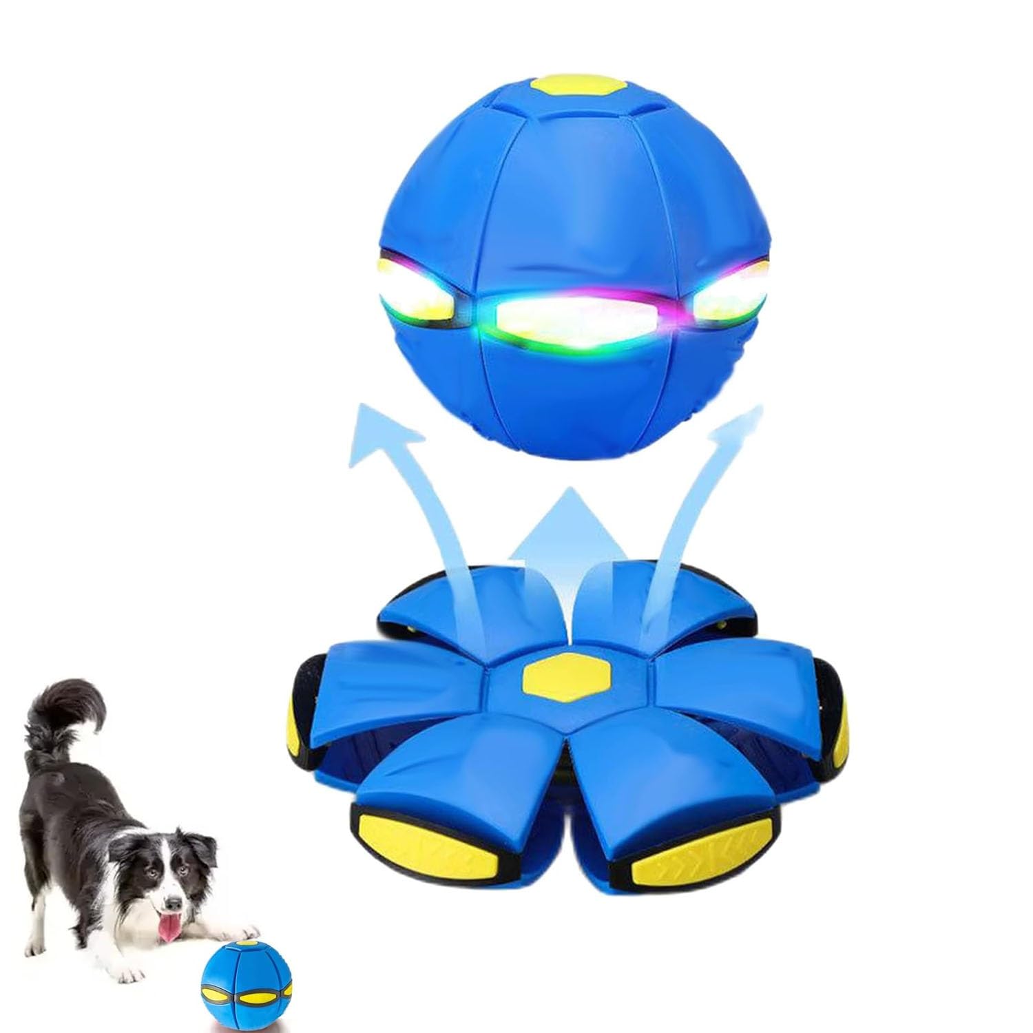 💥The Doggy Disc Ball💞