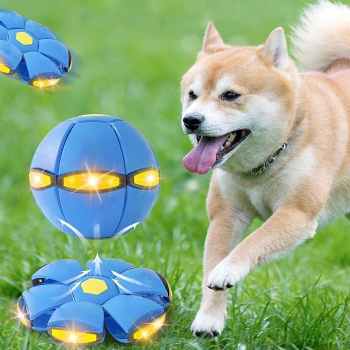 💥The Doggy Disc Ball💞