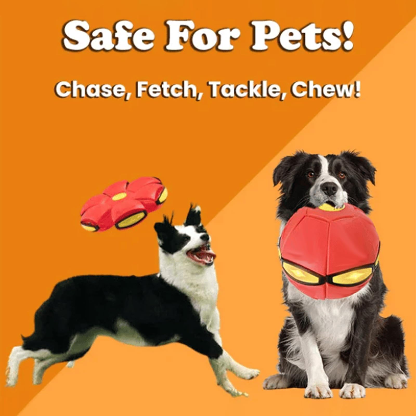 💥The Doggy Disc Ball💞