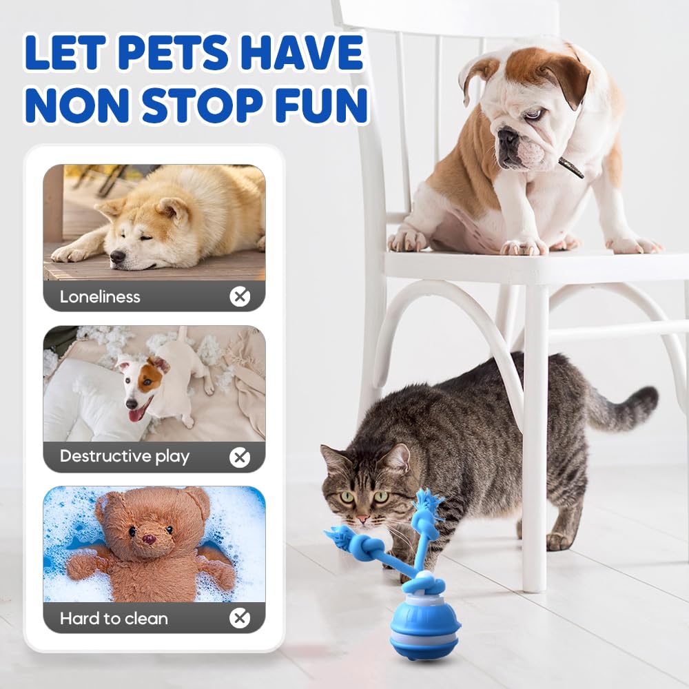 Smart Touch-Activated Automatic Rolling Ball