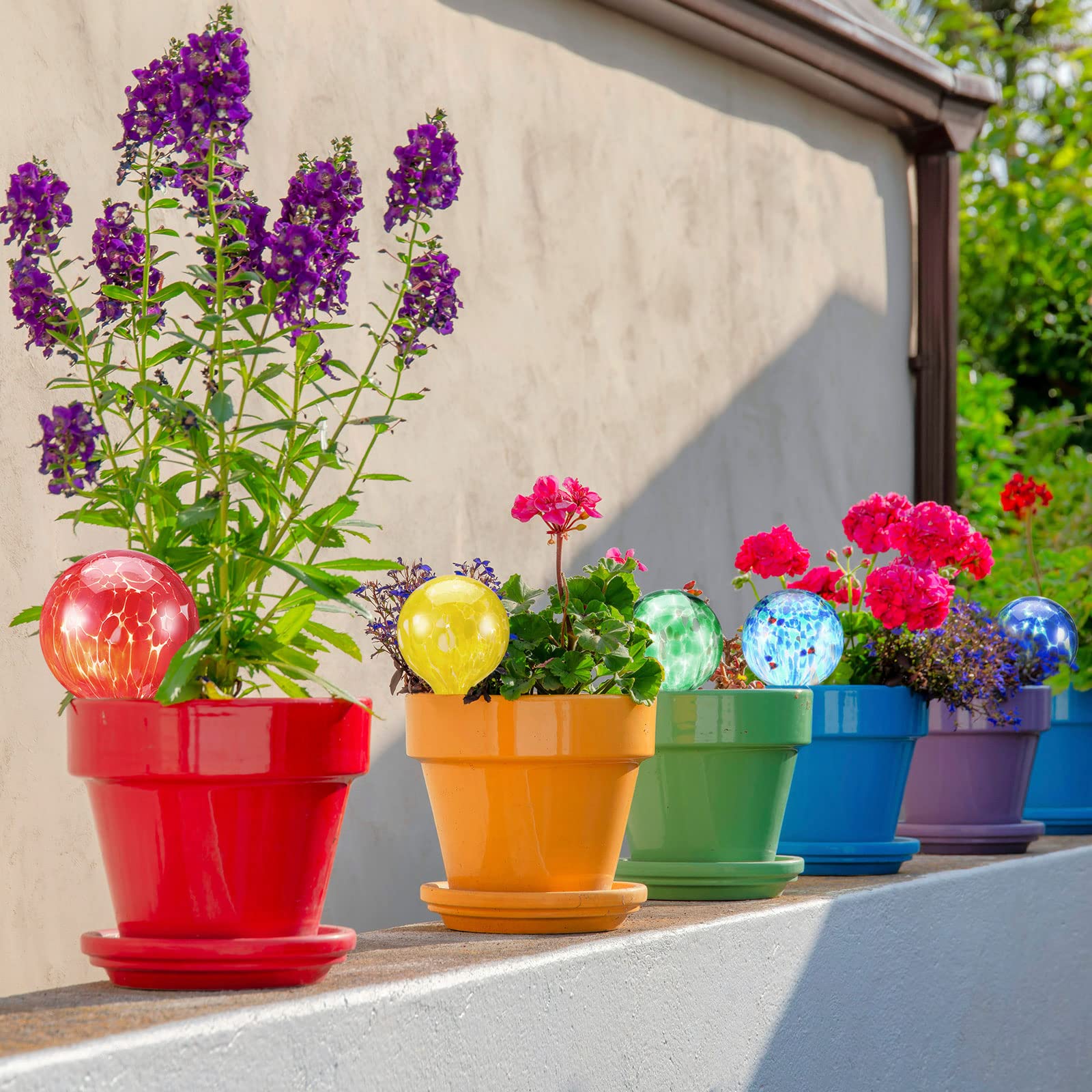 Plant Watering Globes