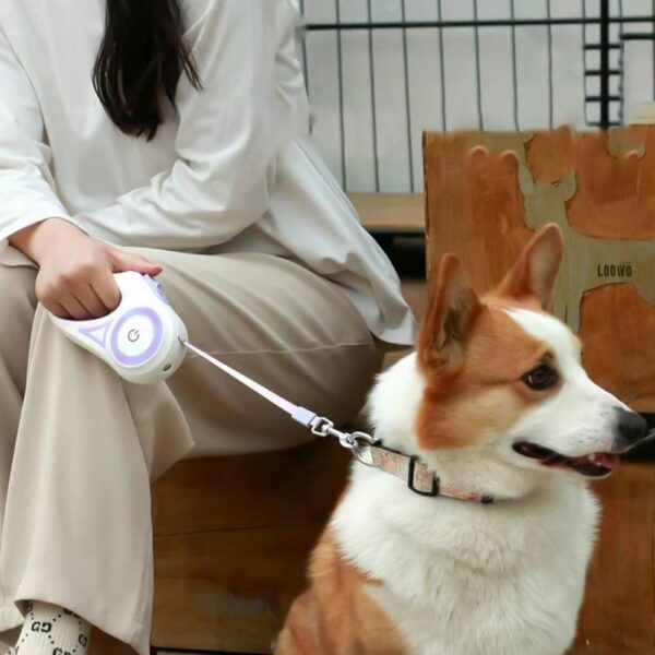 Lighted Dog Leash👉 Perfect For Owners Who Often Walk In The Evenings