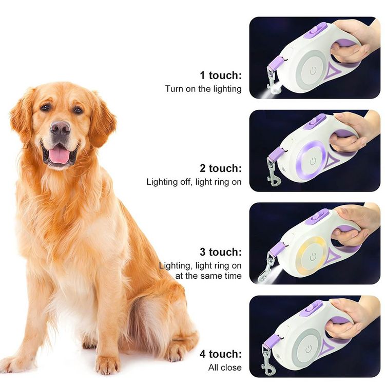 Lighted Dog Leash👉 Perfect For Owners Who Often Walk In The Evenings