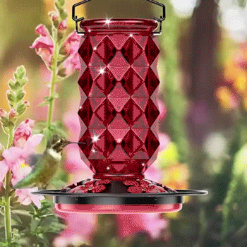 Glass Hummingbird Feeder