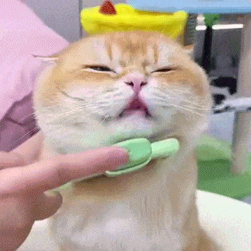 🔥Self-cleaning Pet Flea Comb Grooming Brush