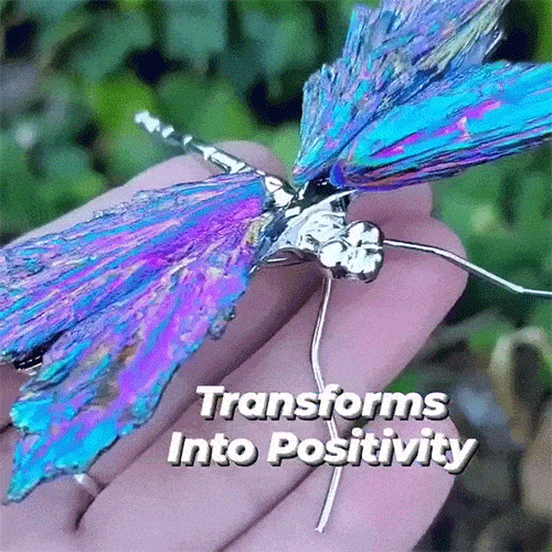 🔥BIG SALE - 49% OFF🔥💥AURA TOURMALINE KYANITE DRAGONFLY💥