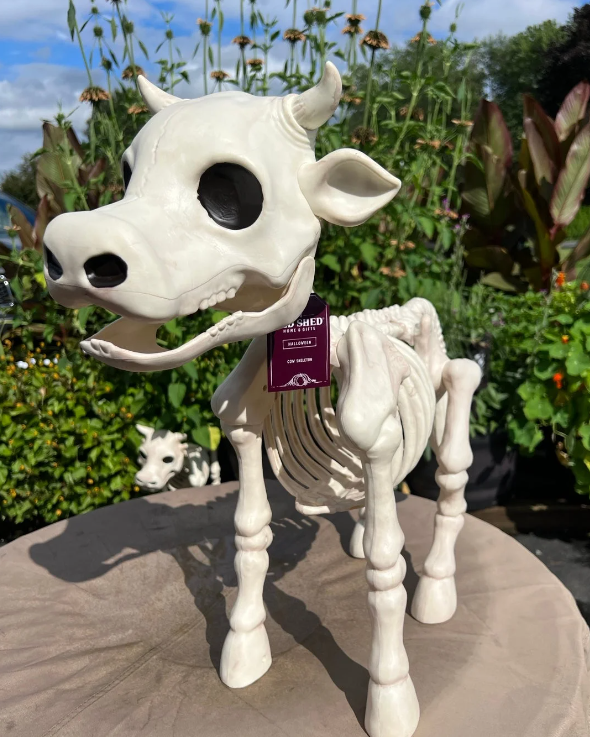 🐮Cow & Horse Skeleton Halloween Decorative Prop 