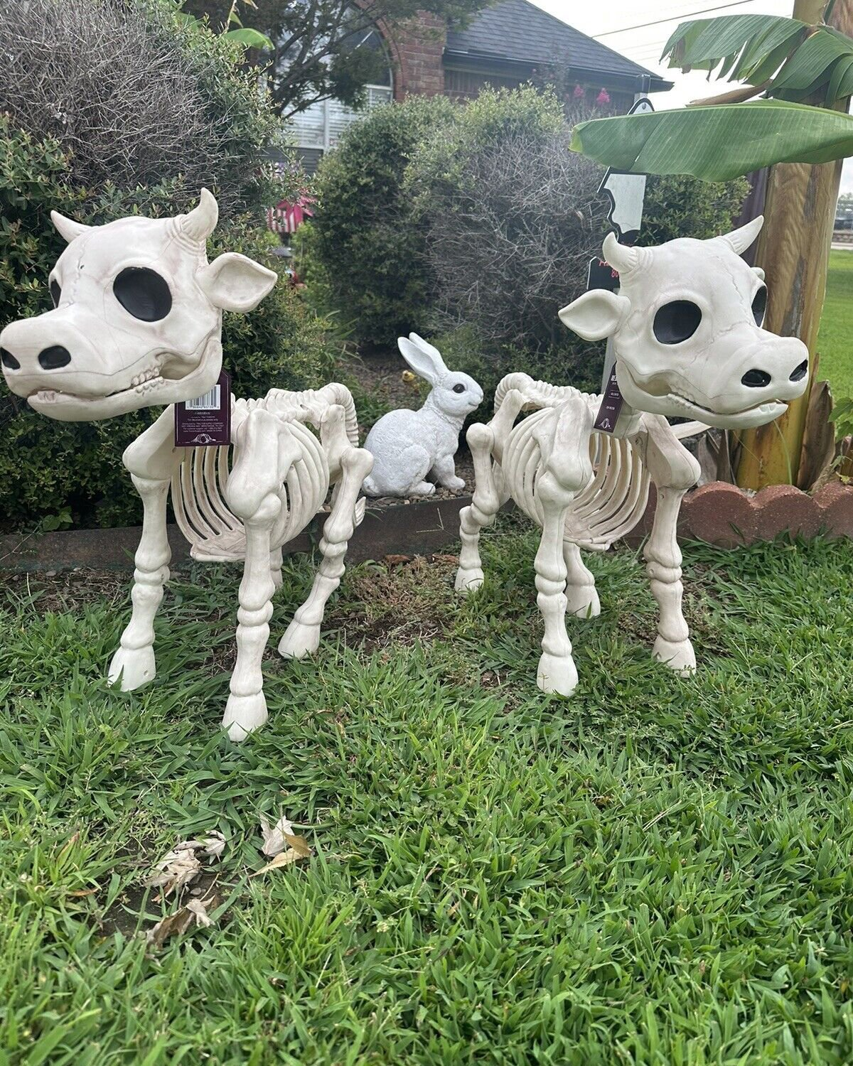 🐮Cow & Horse Skeleton Halloween Decorative Prop 