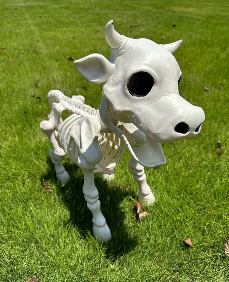 🐮Cow & Horse Skeleton Halloween Decorative Prop 