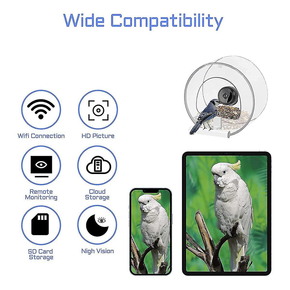 Smart Bird Feeder With Camera